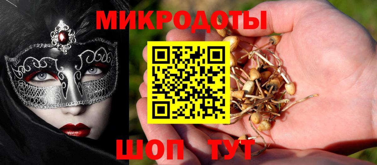 Киров  Галлюциногенные грибы прущие грибы  Вход с VPN 